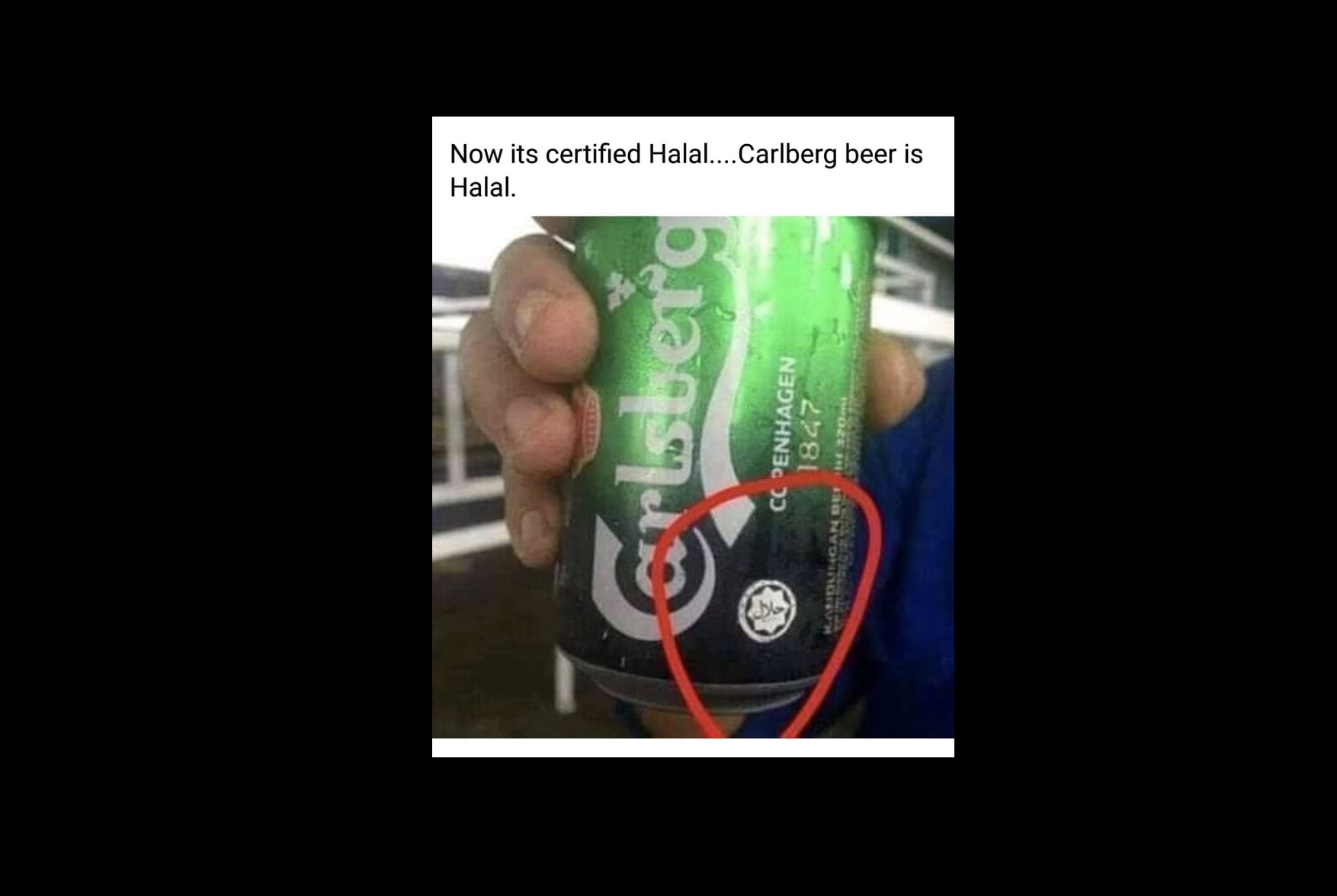 Is Carlsberg Beer Halal Certified Black Dot Research 8013